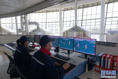 拉薩經(jīng)開區(qū) 科技驅(qū)動(dòng)高原特色產(chǎn)業(yè)蓬勃發(fā)展